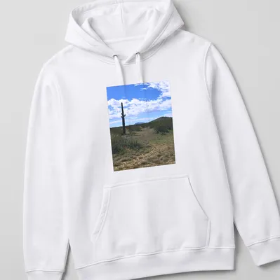 Cactus landscape illustration in green, brown, blue, and white on — printed on a unisex hoodie