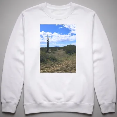 Cactus landscape illustration in green, brown, blue, and white on — printed on a unisex sweatshirt