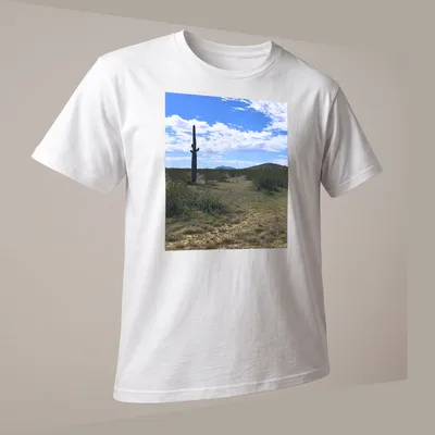 Cactus landscape illustration in green, brown, blue, and white on — printed on a unisex t-shirt (angled view)