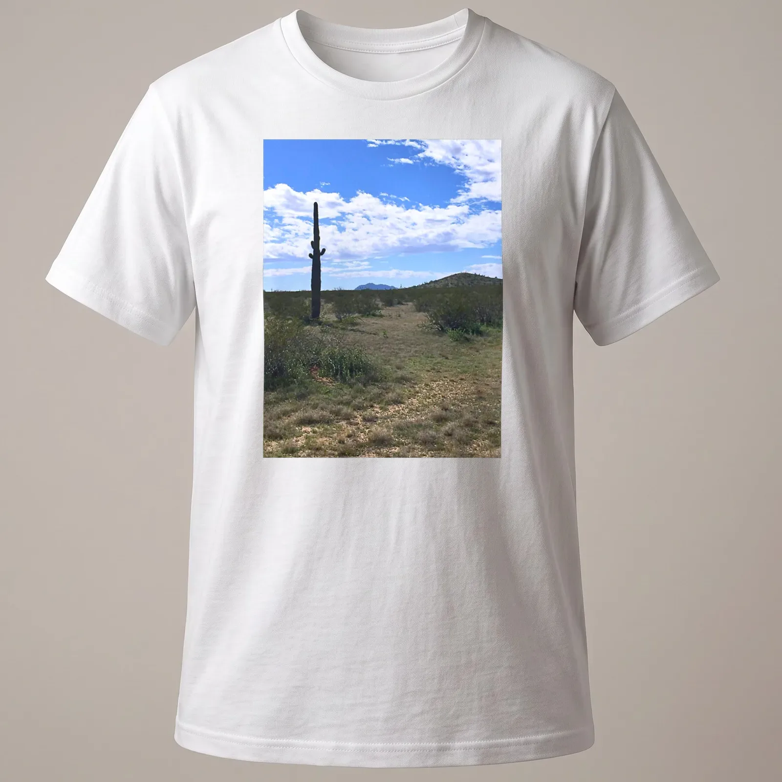 Cactus landscape illustration in green, brown, blue, and white on — printed on a unisex t-shirt