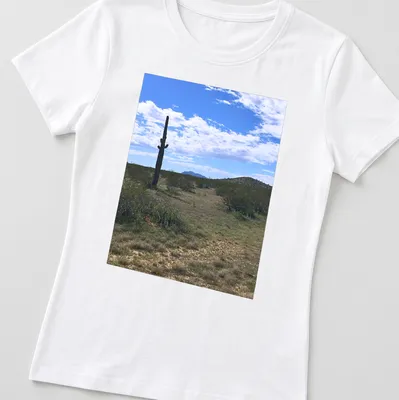 Cactus landscape illustration in green, brown, blue, and white on — printed on a women's shirt