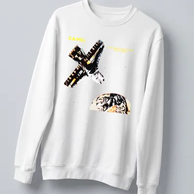 Astronaut camel graphic with humorous text in yellow, black, and earth tones — printed on a unisex sweatshirt