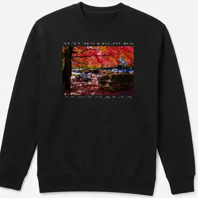 Photographic print of an autumn scene with colorful leaves. — printed on a unisex sweatshirt
