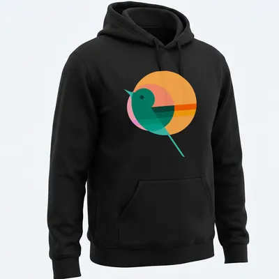 Modern geometric illustration of a bird silhouette with colorful circle background — printed on a unisex hoodie
