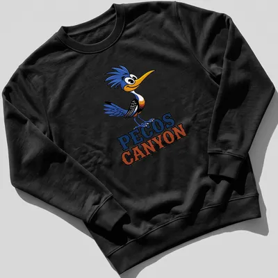 Colorful cartoon Roadrunner design with 'PECOS CANYON' text — printed on a unisex sweatshirt