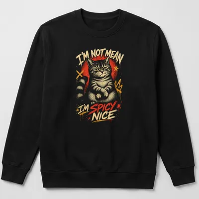 Graffiti-style t-shirt featuring a playful cat with text I'M NOT MEAN I'M SPICY NICE — printed on a sweatshirt