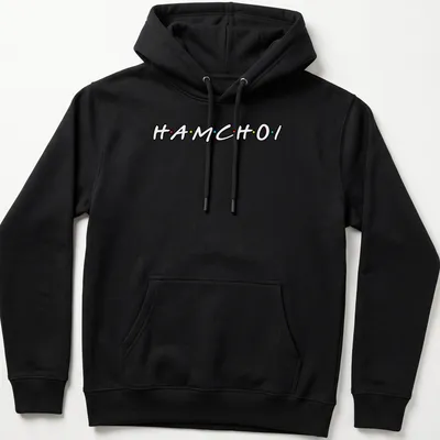 Playful typography shirt featuring colorful text 'HAM CHOI' in black, red, yellow, and blue. — printed on a unisex hoodie
