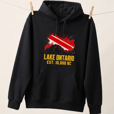 Distressed Lake Ontario t-shirt with Diver Down flag and text — printed on a unisex hoodie