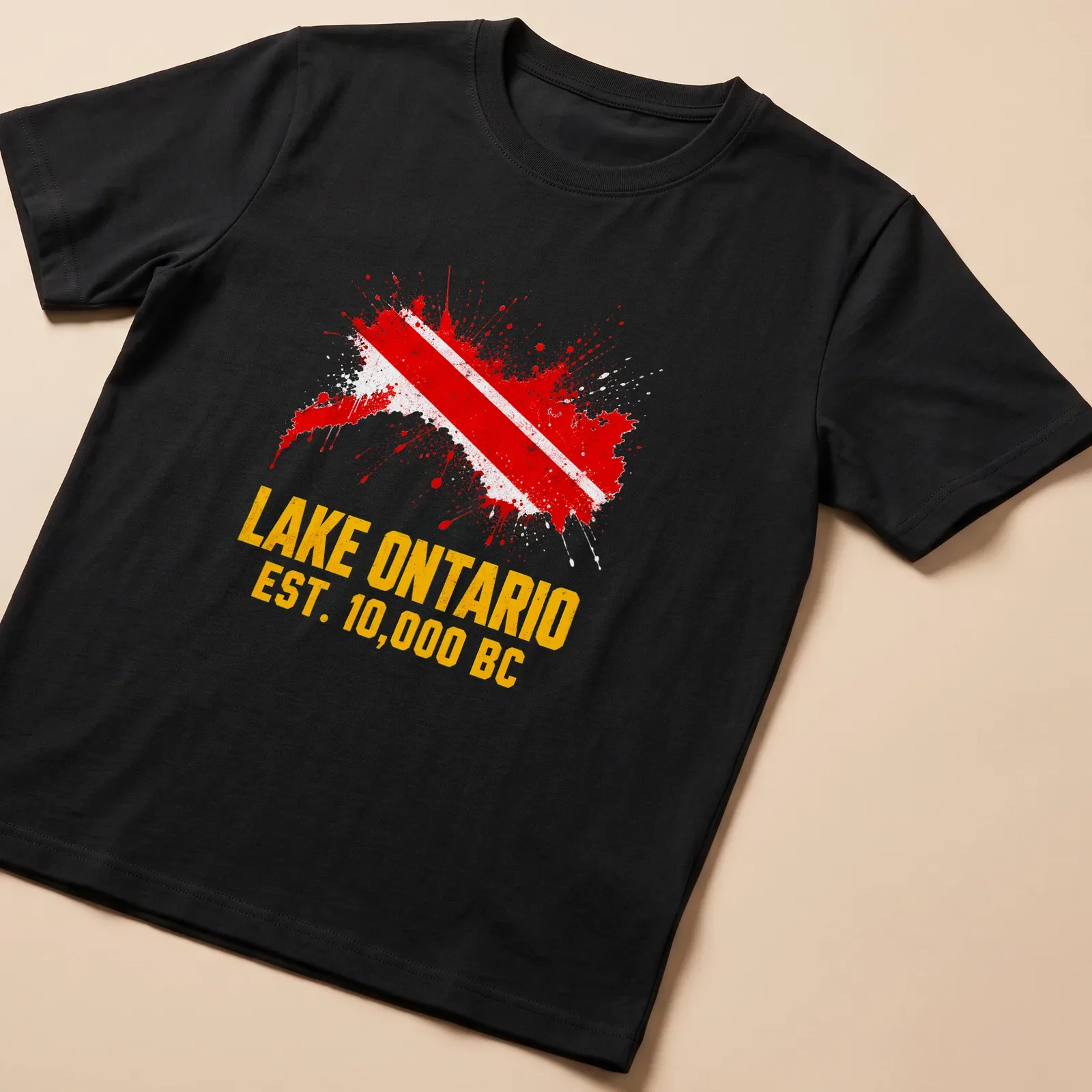 Distressed Lake Ontario t-shirt with Diver Down flag and text — printed on a unisex t-shirt