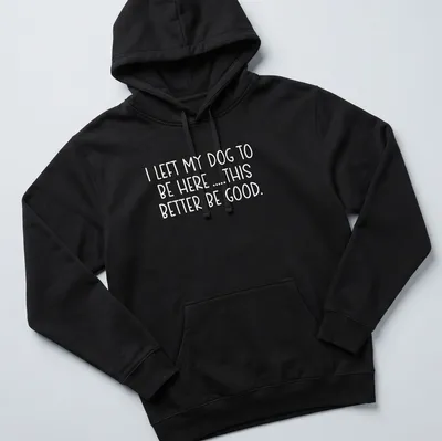 Bold text shirt for dog lovers saying I LEFT MY DOG TO BE HERE .... THIS BETTER BE GOOD. — printed on a unisex hoodie