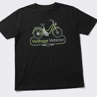 Modern illustrated E-bike graphic with text 'Voltage Veteran' in green and gray