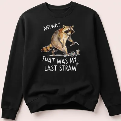 Funny raccoon graphic with text saying 'ANYWAY THAT WAS MY LAST STRAW' in retro style. — printed on a unisex sweatshirt