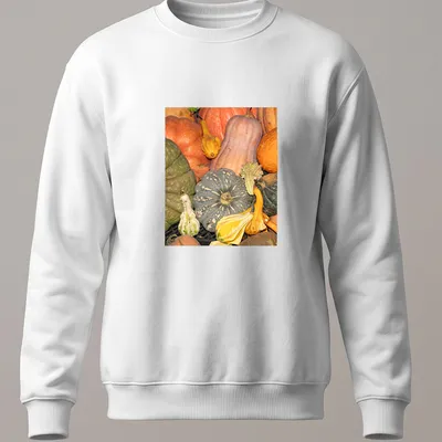 Photographic design of gourds and pumpkins in autumn colors — printed on a unisex sweatshirt