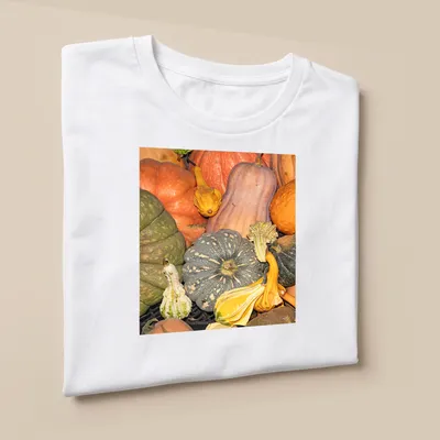 Photographic design of gourds and pumpkins in autumn colors — printed on a unisex t-shirt (angled view)