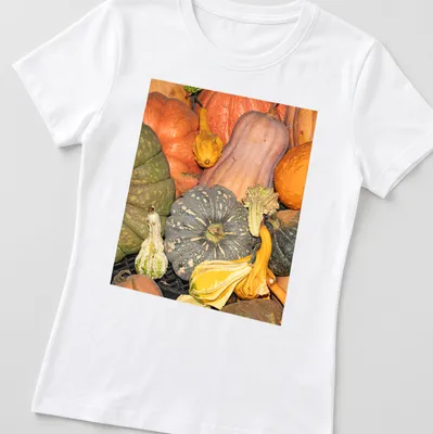 Photographic design of gourds and pumpkins in autumn colors — printed on a women's shirt