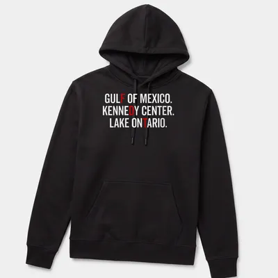 Vintage retro design featuring Gulf of Mexico, Kennedy Center, and Lake Ontario. — printed on a unisex hoodie