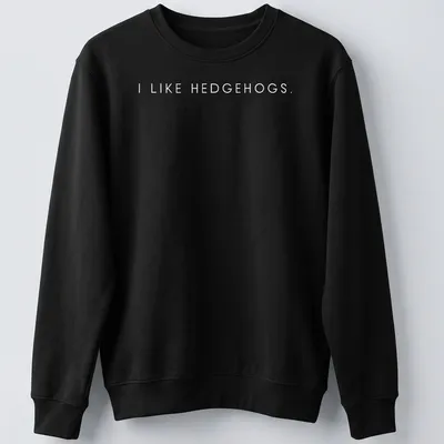 Minimalist design featuring I LIKE HEDGEHOGS in clean typography on white — printed on a unisex sweatshirt