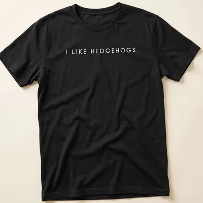 Minimalist design featuring I LIKE HEDGEHOGS in clean typography on white