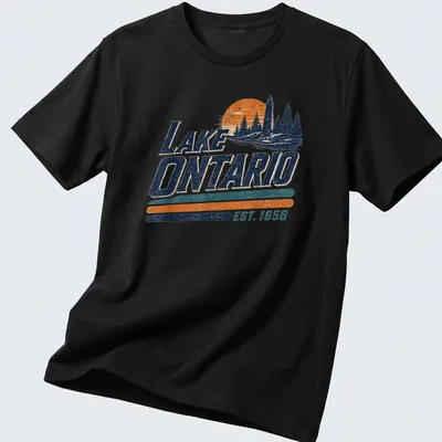 Vintage map of Lake Ontario with 'EST. 1656' text, featuring blue, orange, and green colors.