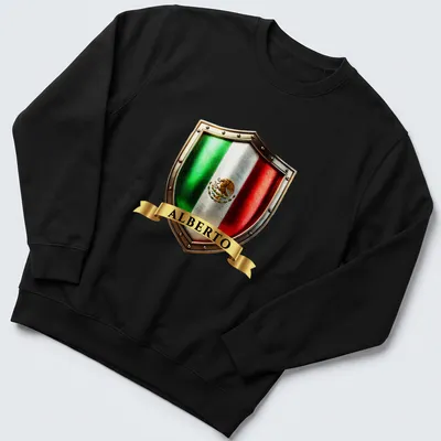Metallic detailed Mexican heritage crest shield T-shirt featuring the name Alberto — printed on a unisex sweatshirt
