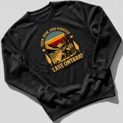 Retro t-shirt featuring a moose against a sunset backdrop with bold text. — printed on a unisex sweatshirt