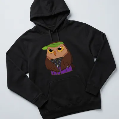 Cartoon owl named Owlbert with playful text in bright colors — printed on a unisex hoodie
