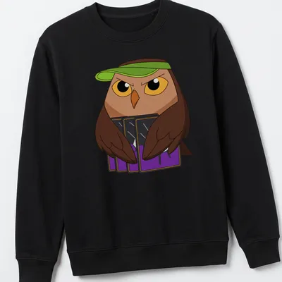 Cartoon owl named Owlbert with playful text in bright colors — printed on a unisex sweatshirt