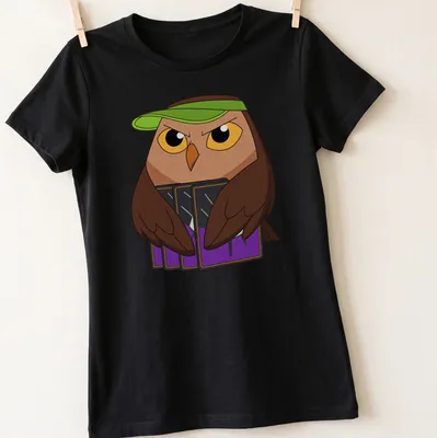 Cartoon owl named Owlbert with playful text in bright colors — printed on a women's shirt