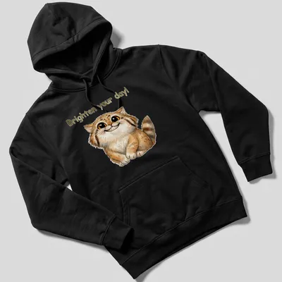Watercolor illustration of a Pallas Cat with the text 'Brighten your day!' in warm tones — printed on a unisex hoodie