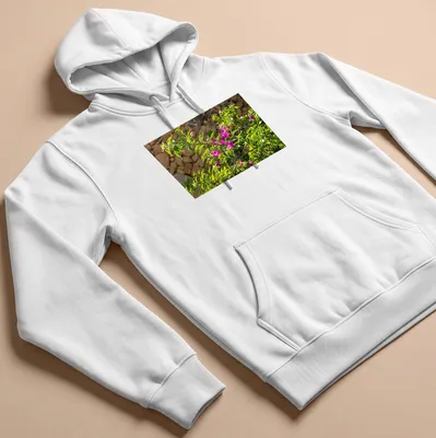 Natural photography of pink bougainvillea blossoms against a stone wall — printed on a unisex hoodie