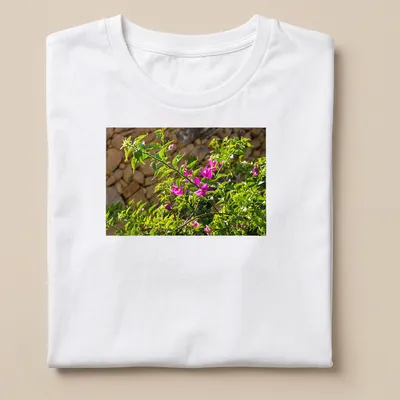 Natural photography of pink bougainvillea blossoms against a stone wall