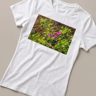Natural photography of pink bougainvillea blossoms against a stone wall — printed on a women's shirt