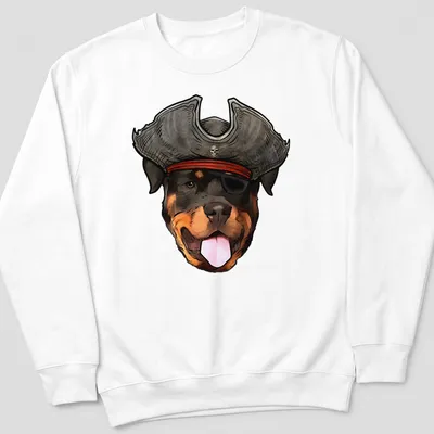 Cartoon Rottweiler wearing a pirate hat and bandana, black and brown colors — printed on a unisex sweatshirt