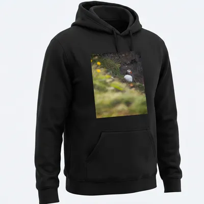 Natural photography of a puffin bird fishing, featuring vibrant colors — printed on a unisex hoodie