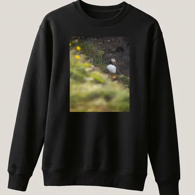 Natural photography of a puffin bird fishing, featuring vibrant colors — printed on a unisex sweatshirt