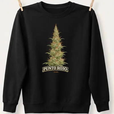 Vintage botanical print of a cannabis plant with 'PUNTO ROJO' text — printed on a unisex sweatshirt