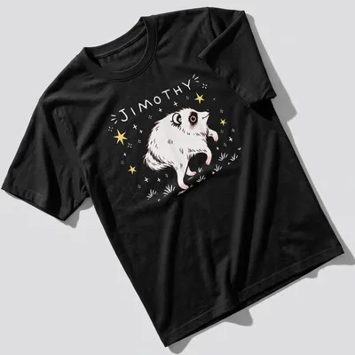 Kawaii line-art raccoon illustration with the name Jimothy in playful text.