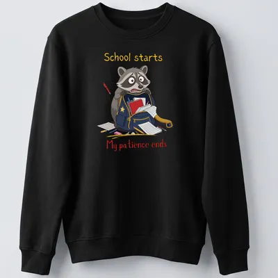 Cartoon raccoon with humorous text about school on a — printed on a unisex sweatshirt