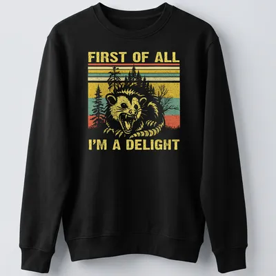 Vintage retro T-shirt featuring a raccoon with the text 'FIRST OF ALL I'M A DELIGHT' — printed on a unisex sweatshirt