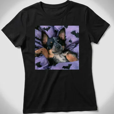 Realistic depiction of a sleepy Cattle Dog on a purple bat-patterned blanket — printed on a women's shirt